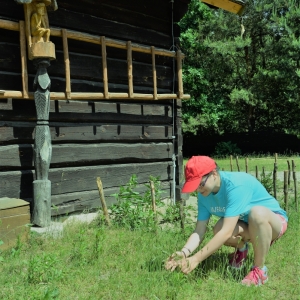 zbieranie ziół mających zastosowanie w kuchni